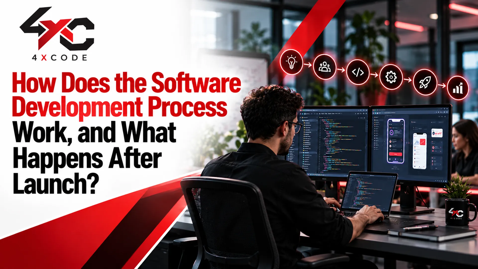 How Does the Software Development