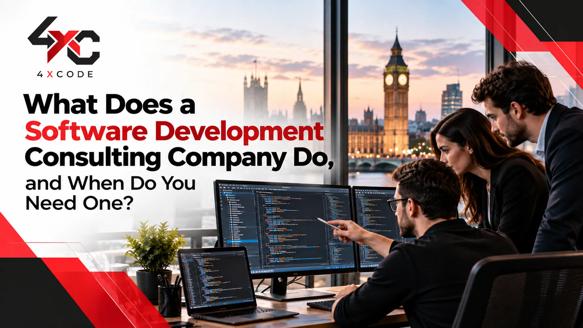 What Does a Software Development